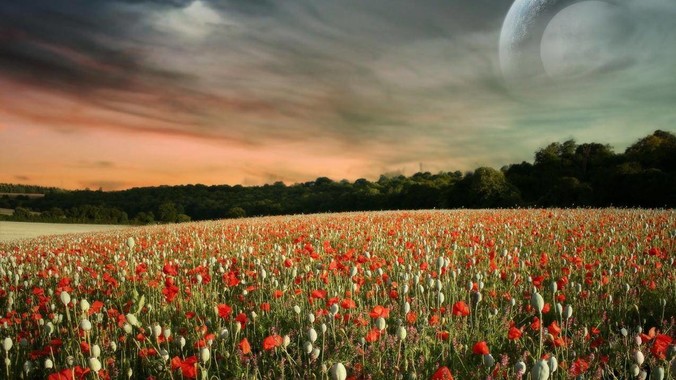 为什么西方诞生了三权分立，东方没有诞生三权分立？